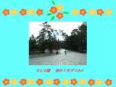 3 �y�[�W