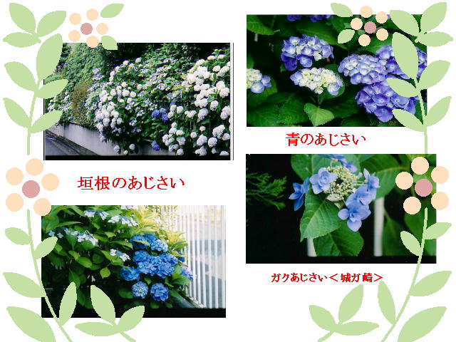 2�y�[�W
