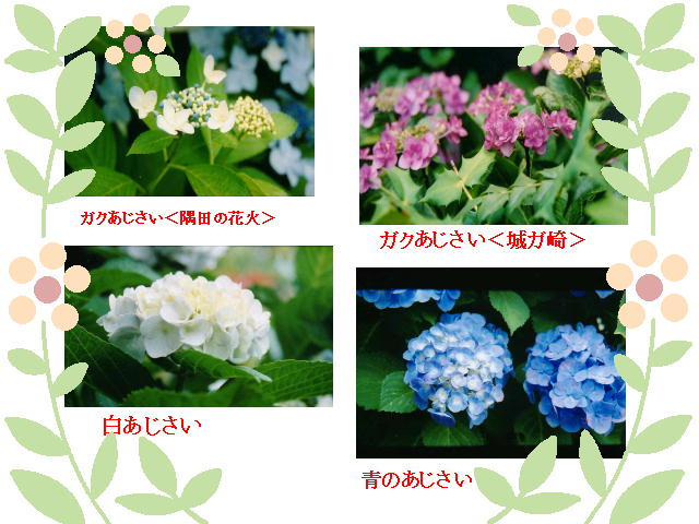 3�y�[�W