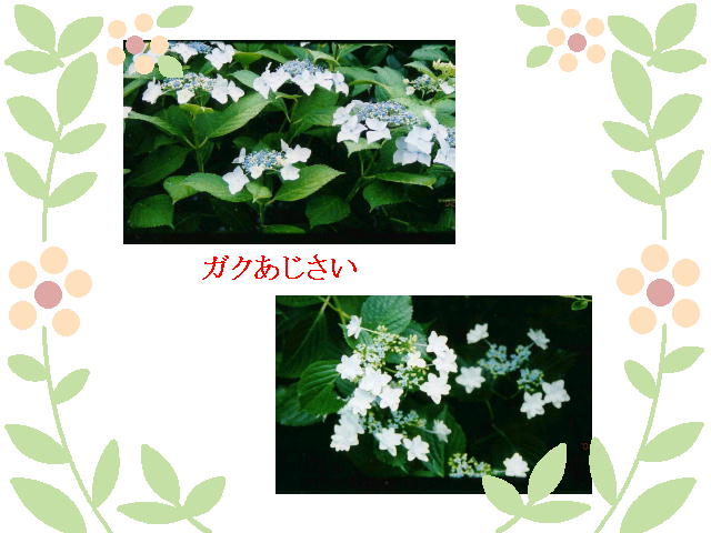 4�y�[�W