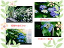 2 �y�[�W