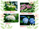 3 �y�[�W
