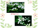 4 �y�[�W