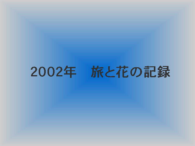 1�y�[�W