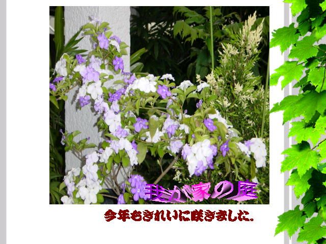 4�y�[�W