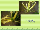 3 �y�[�W