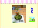 4 �y�[�W