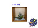 5 �y�[�W