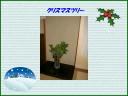 6 �y�[�W