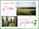 3 �y�[�W