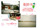 5 �y�[�W