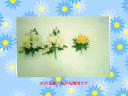 4 �y�[�W
