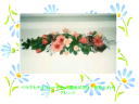 5 �y�[�W