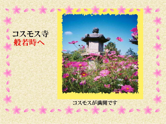 1�y�[�W