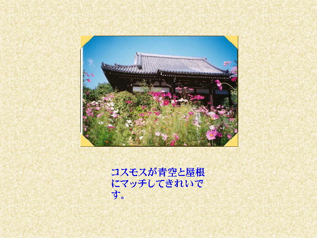 2�y�[�W