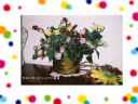 3 �y�[�W