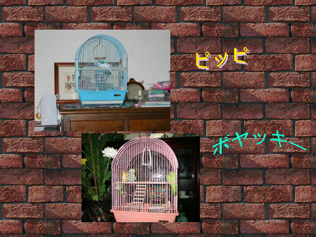 6�y�[�W