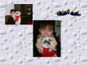 7 �y�[�W