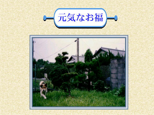 3�y�[�W