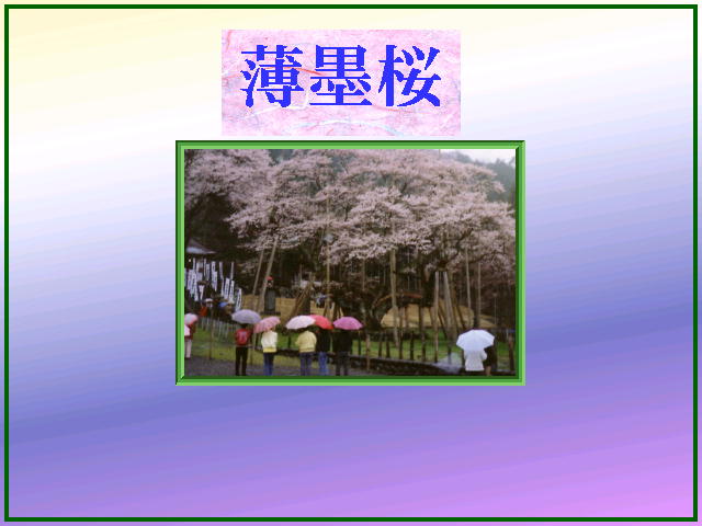 5�y�[�W