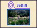 2 �y�[�W