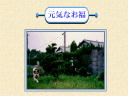 3 �y�[�W
