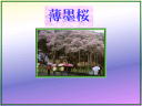 5 �y�[�W