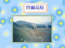 10 �y�[�W