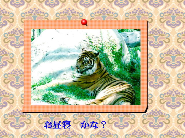 6�y�[�W