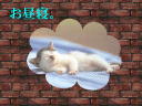 1 �y�[�W