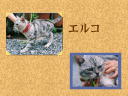 2 �y�[�W