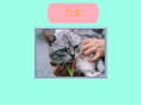 4 �y�[�W