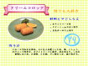 5 �y�[�W