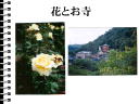 4 �y�[�W
