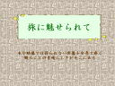 1 �y�[�W