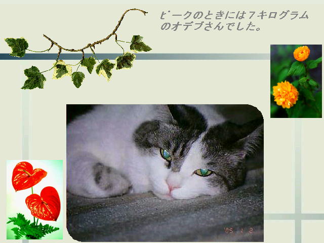 4�y�[�W