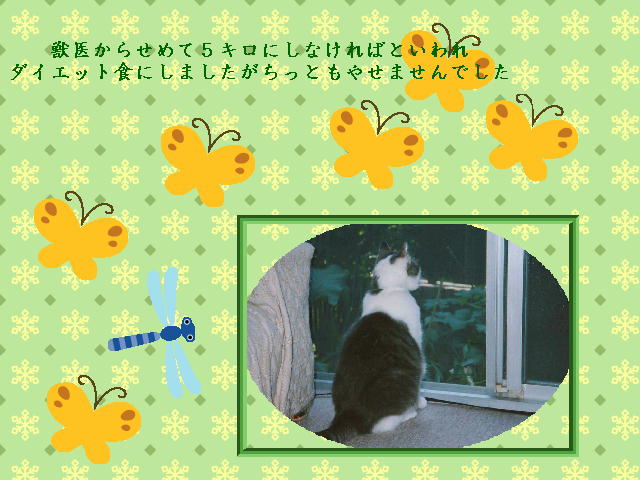 5�y�[�W