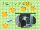 5 �y�[�W