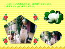 7 �y�[�W