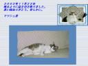 8 �y�[�W