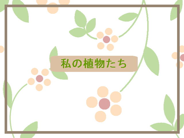 1�y�[�W