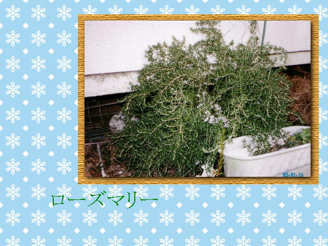 3�y�[�W