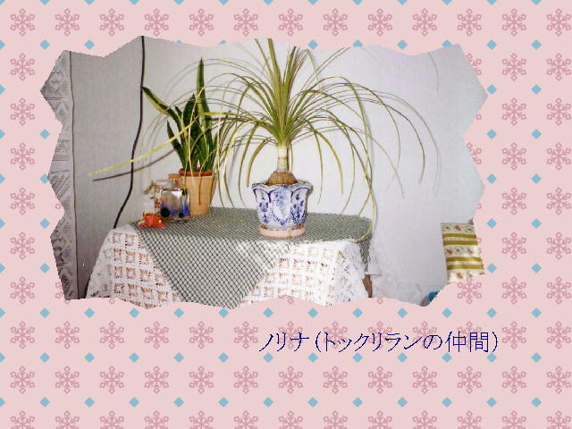 4�y�[�W