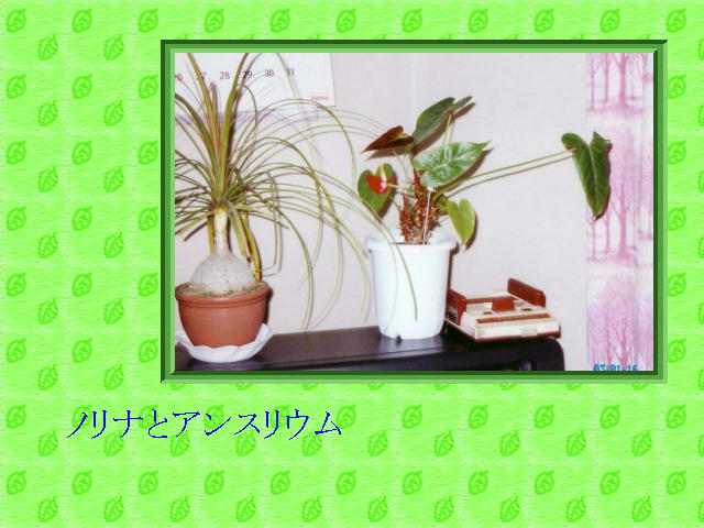5�y�[�W