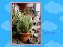 2 �y�[�W