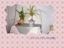 4 �y�[�W