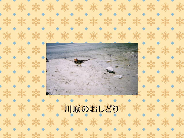 3�y�[�W