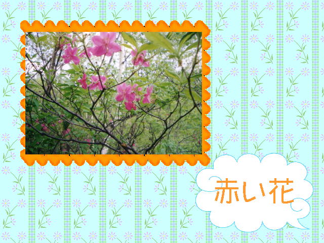 4�y�[�W