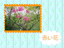 4 �y�[�W