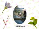6 �y�[�W